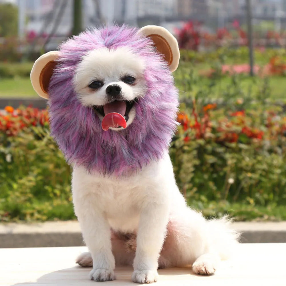 Lion Mane Wig for Cats & Small Dogs – Fancy Dress Costume