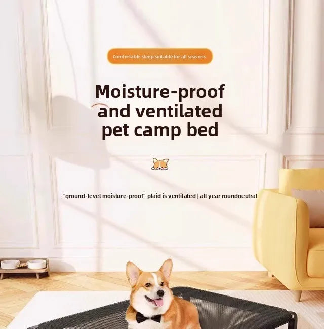 Elevated Mesh Dog Bed