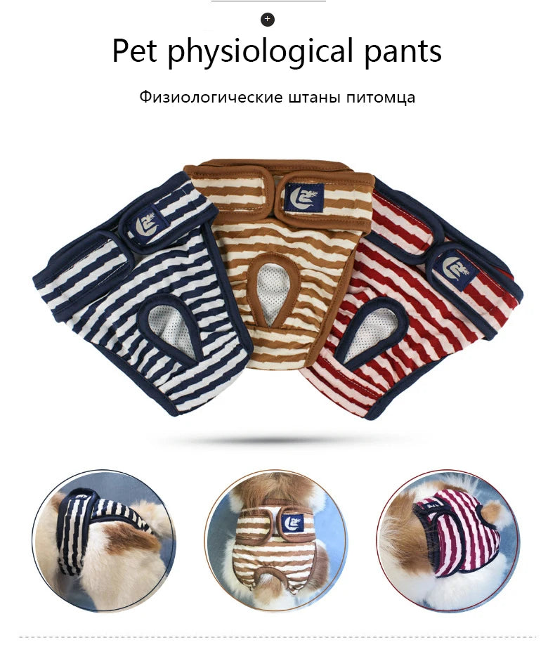 Washable Physiological Pants & Sanitary Briefs for Female Dogs & Cats