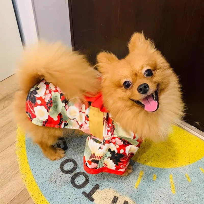 Japanese Kimono Costume for Cats & Dogs