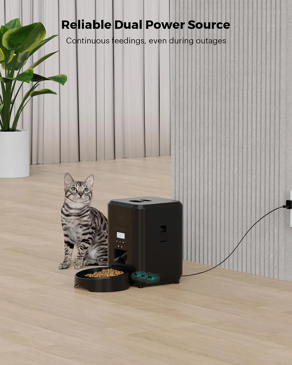 Automatic Pet Feeder with Button or Wi-Fi Options