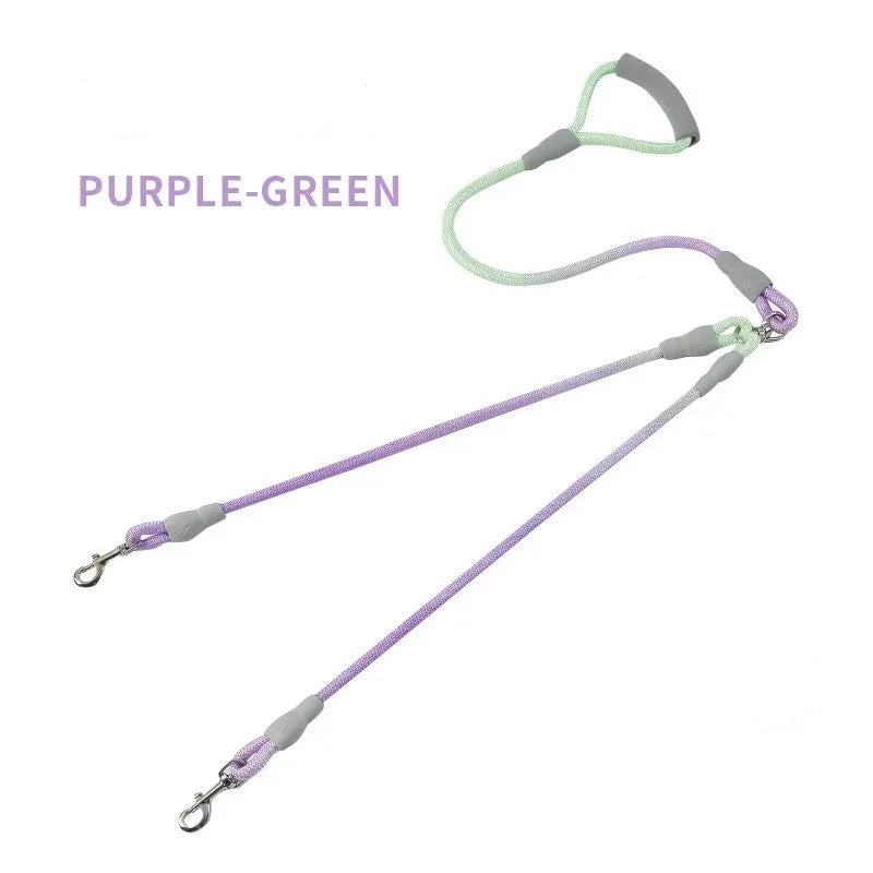 Ensemble complet de collier, harnais et laisse pour chien de qualité supérieure