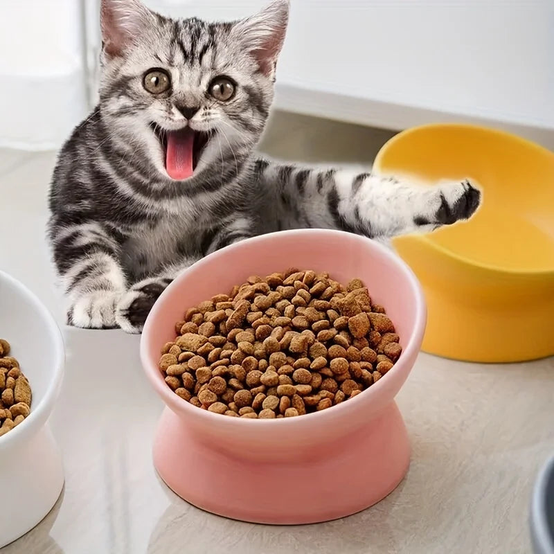 Ensemble de gamelles surélevées en céramique pour chats – Station d'alimentation surélevée sans stress pour chats et petits chiens