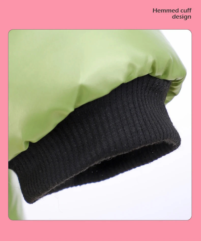 Waterproof Winter Down Hoodie Jacket for Small Dogs