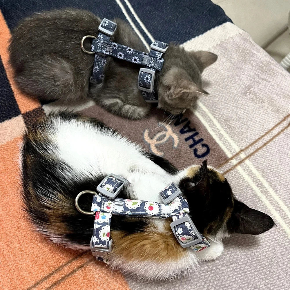 Floral Print Harness & Leash Set for Cats & Small Dogs