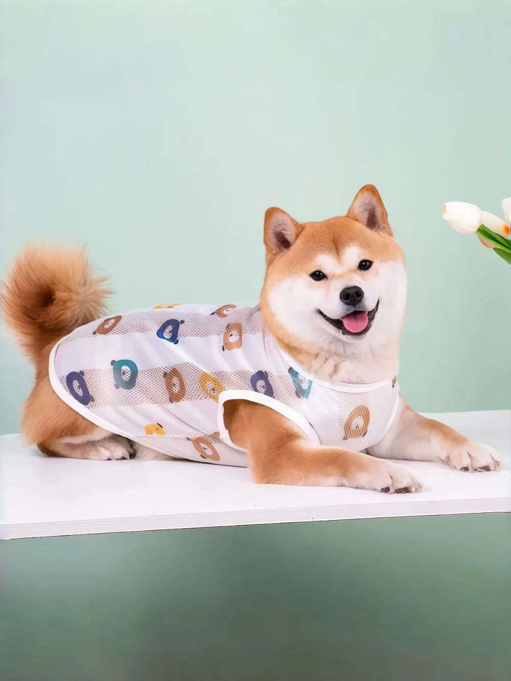 Breathable Mesh Cooling Vest for Dogs
