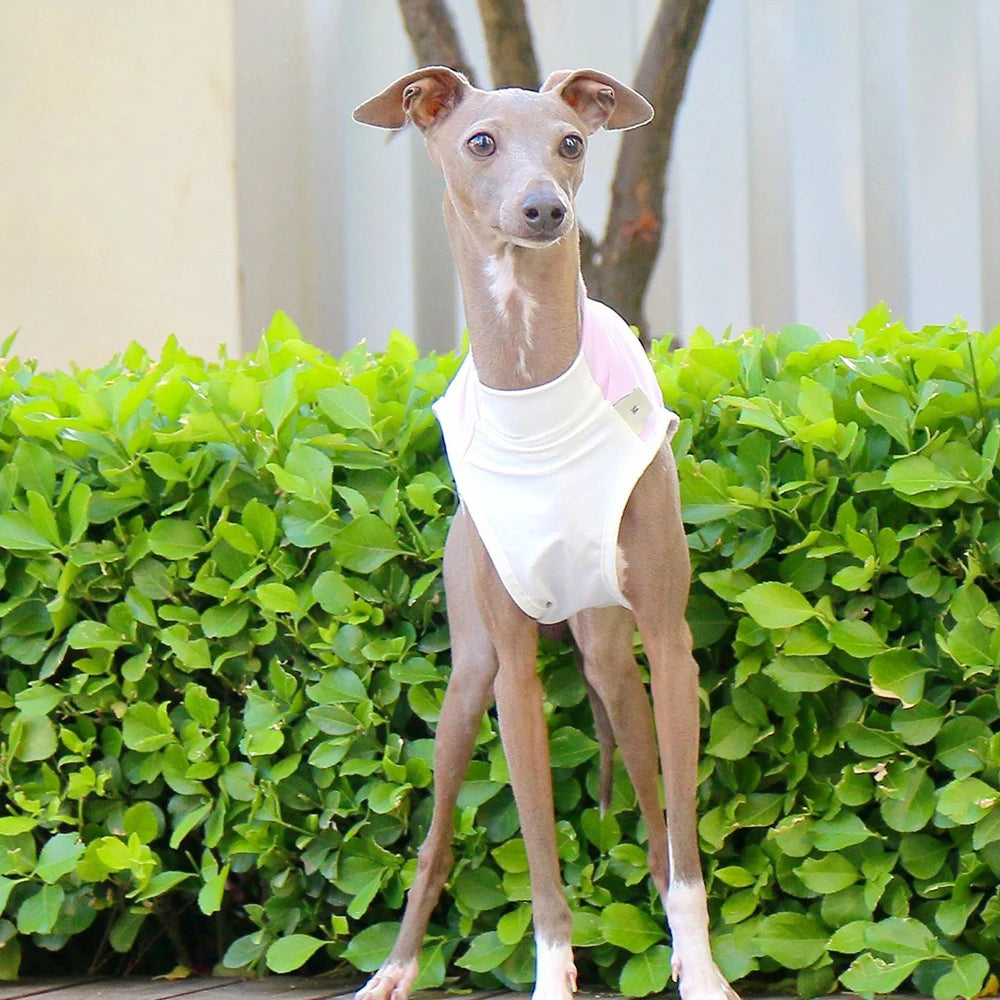 Breathable Summer Cooling Vest for Dogs & Cats