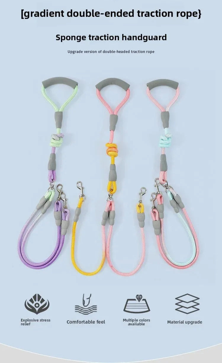 Ensemble complet de collier, harnais et laisse pour chien de qualité supérieure