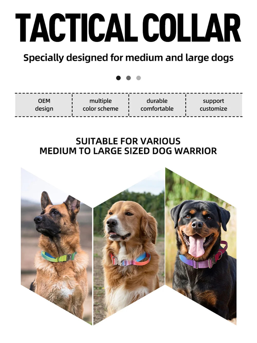 Wide Padded Dog Collar with Handle | Gradient Design for Large Dogs
