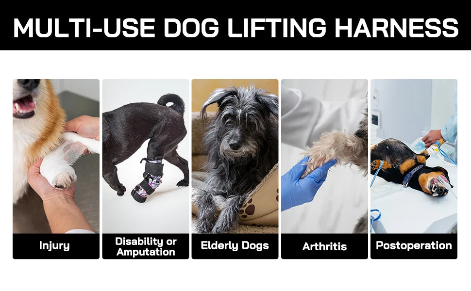 Rear Support Dog Lift Harness for Elderly, Injured & Arthritic Dogs