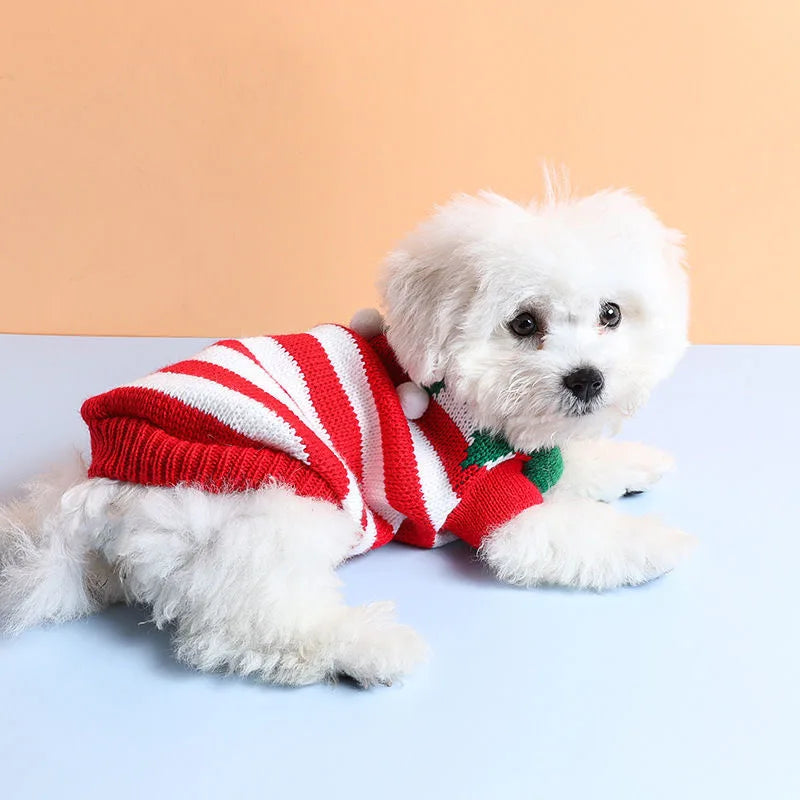 Warm Knit Dog & Cat Sweater