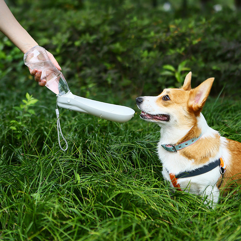 Portable Dog Water Bottle with Bowl