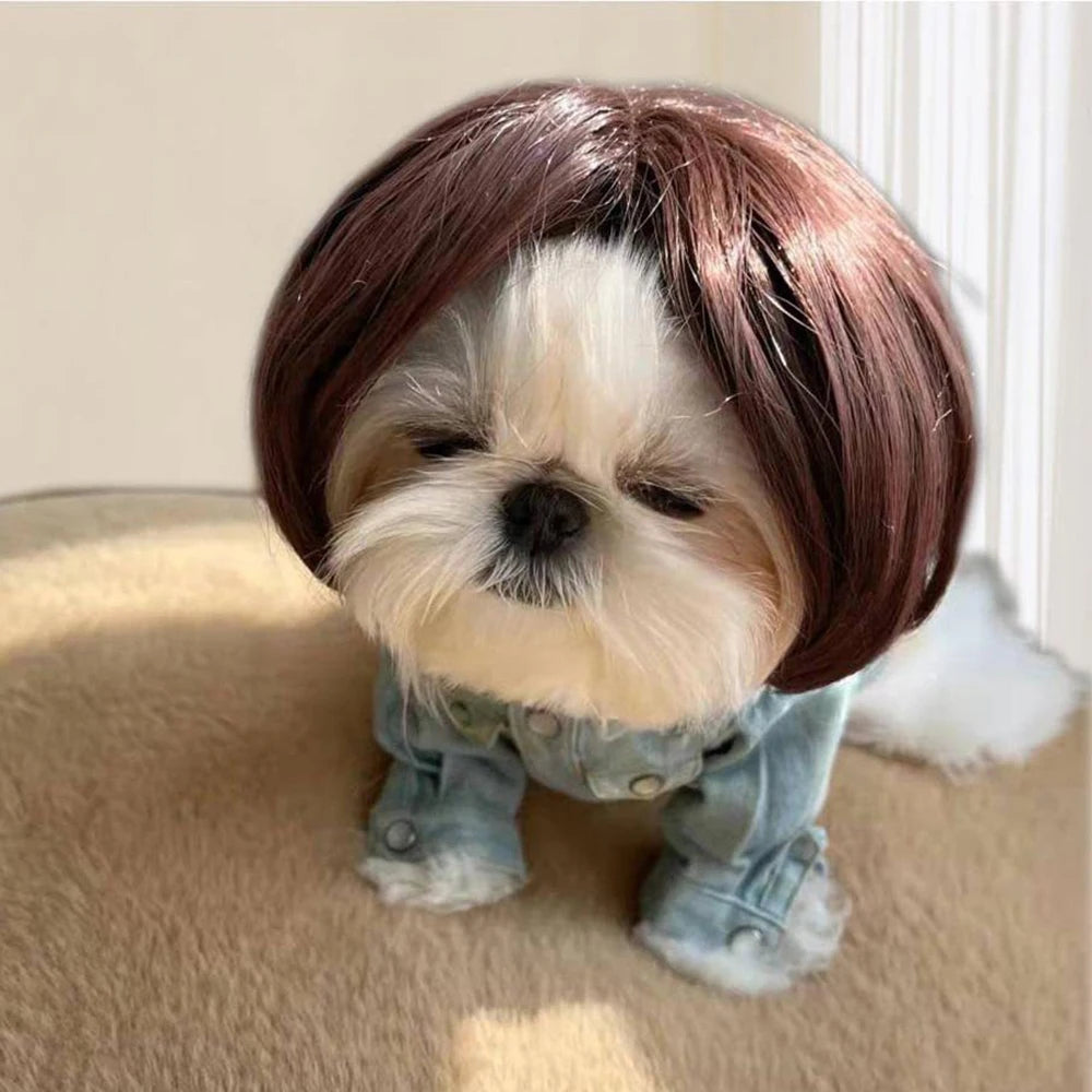 Novelty Faux Fur Wig Hat for Dogs & Cats