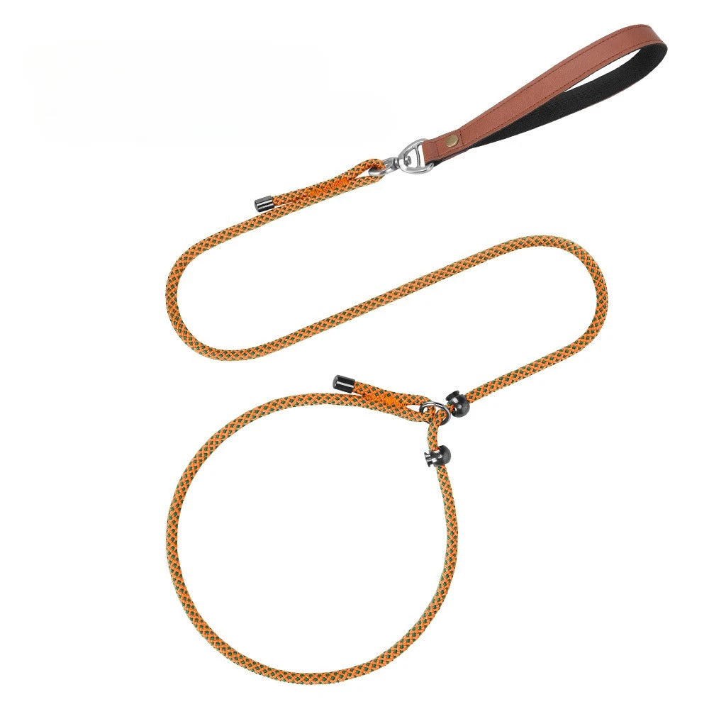 Laisse-collier étrangleur anti-nœuds réglable pour petits chiens