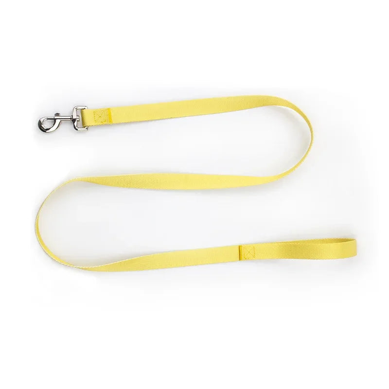 Ensemble laisse et collier réglables en nylon pour chiens - Pour petits et grands chiens