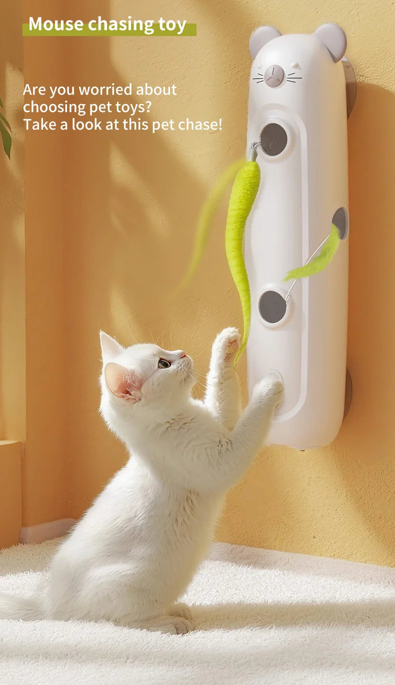 Interactive Caterpillar Cat Toy