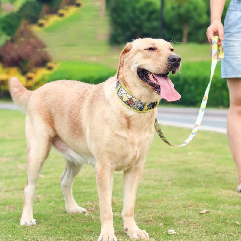 Reflective Breathable Mesh Dog Collar with Double D-Ring – All Sizes