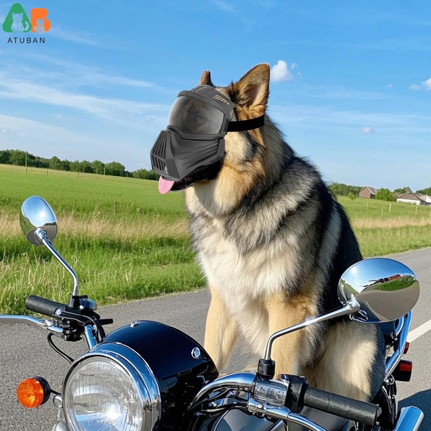 Lunettes pour chien avec écran facial – Masque réglable pour grandes races
