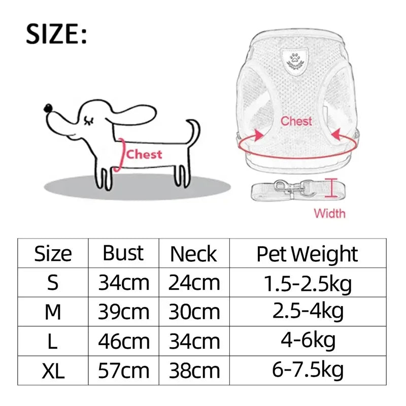 Harnais anti-évasion pour chat et chien avec laisse - Gilet en maille réglable pour la promenade