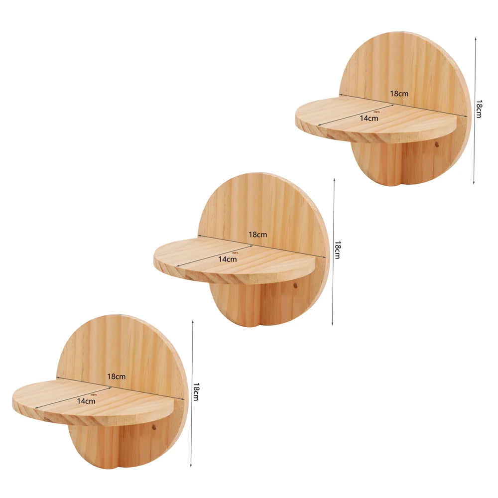 Wall-Mounted Cat Climbing Shelves & Perches