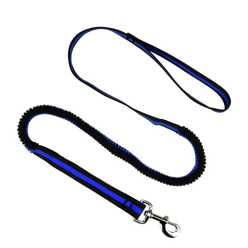Laisse élastique anti-traction pour animaux (190 cm)