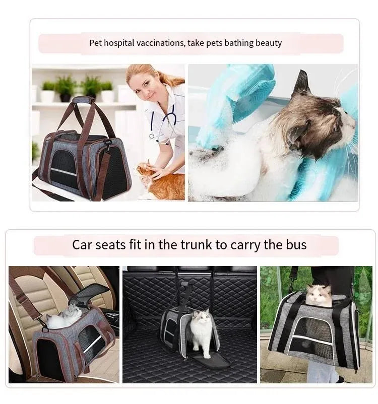 Foldable Pet Travel Carrier