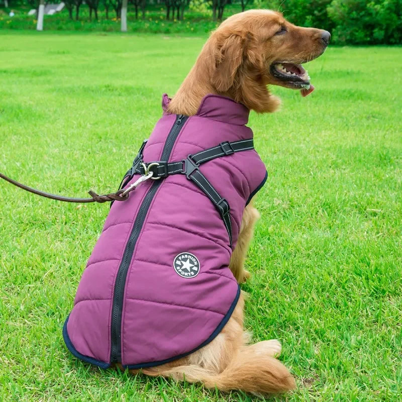 Waterproof Fleece Dog Jacket with Harness