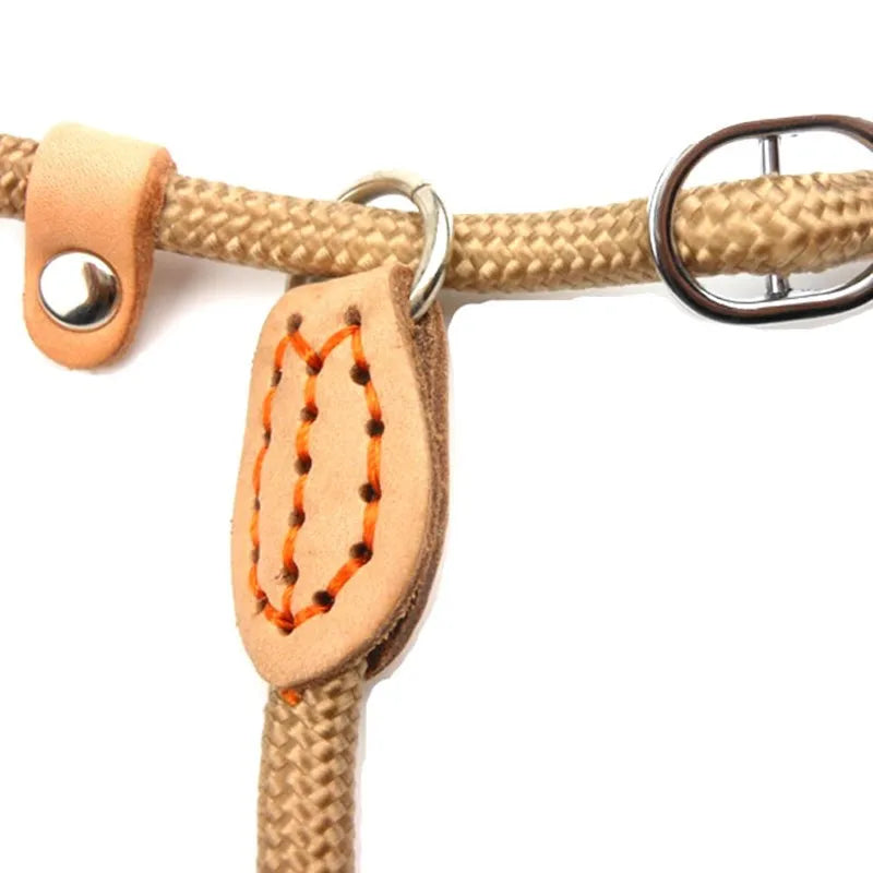 Laisse-collier chien - Corde tressée robuste avec boucle réglable pour grands chiens