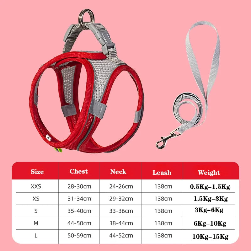 Small Dog Harness and Leash Set