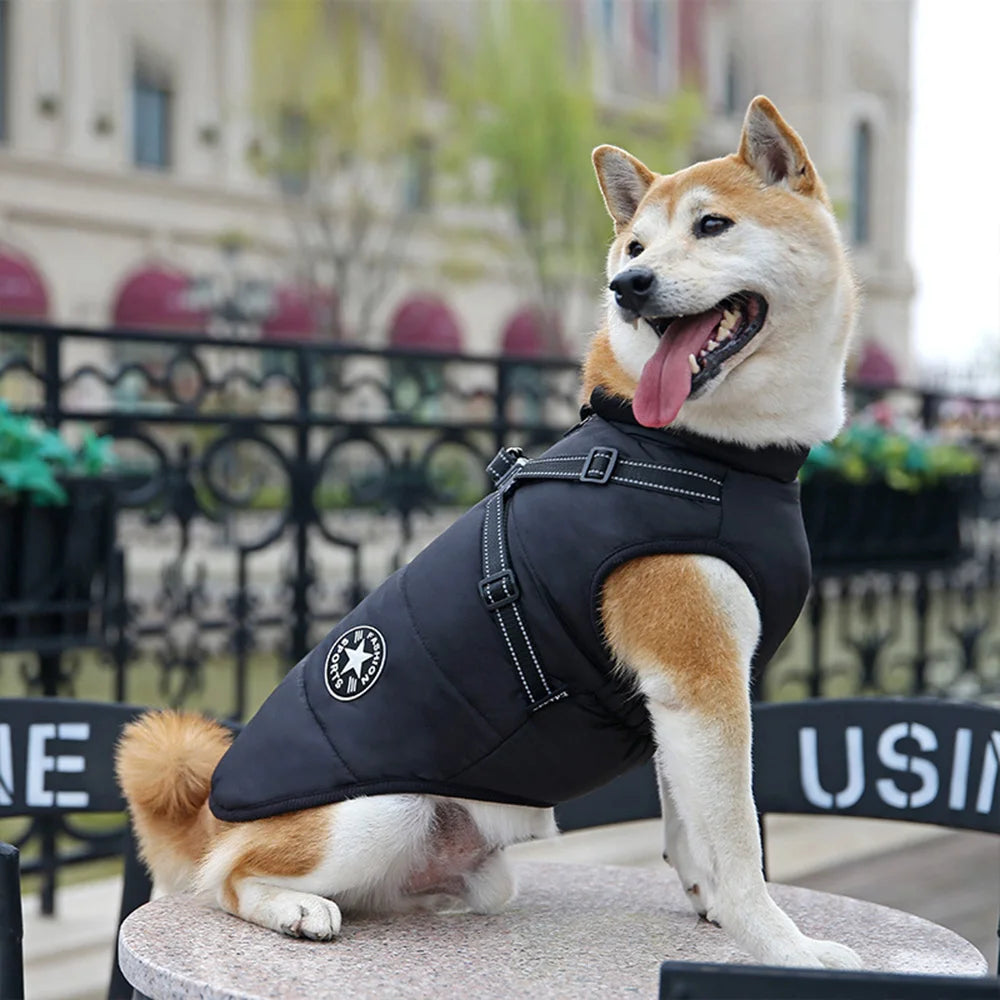 Waterproof Reflective Winter Dog Jacket