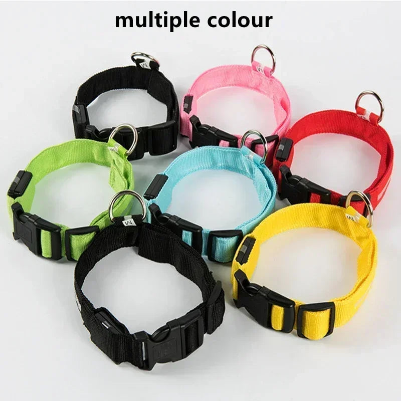 Collier lumineux LED pour chien - Réglable, clignotant, rechargeable - Collier lumineux pour la sécurité nocturne - Harnais lumineux anti-perte pour chien