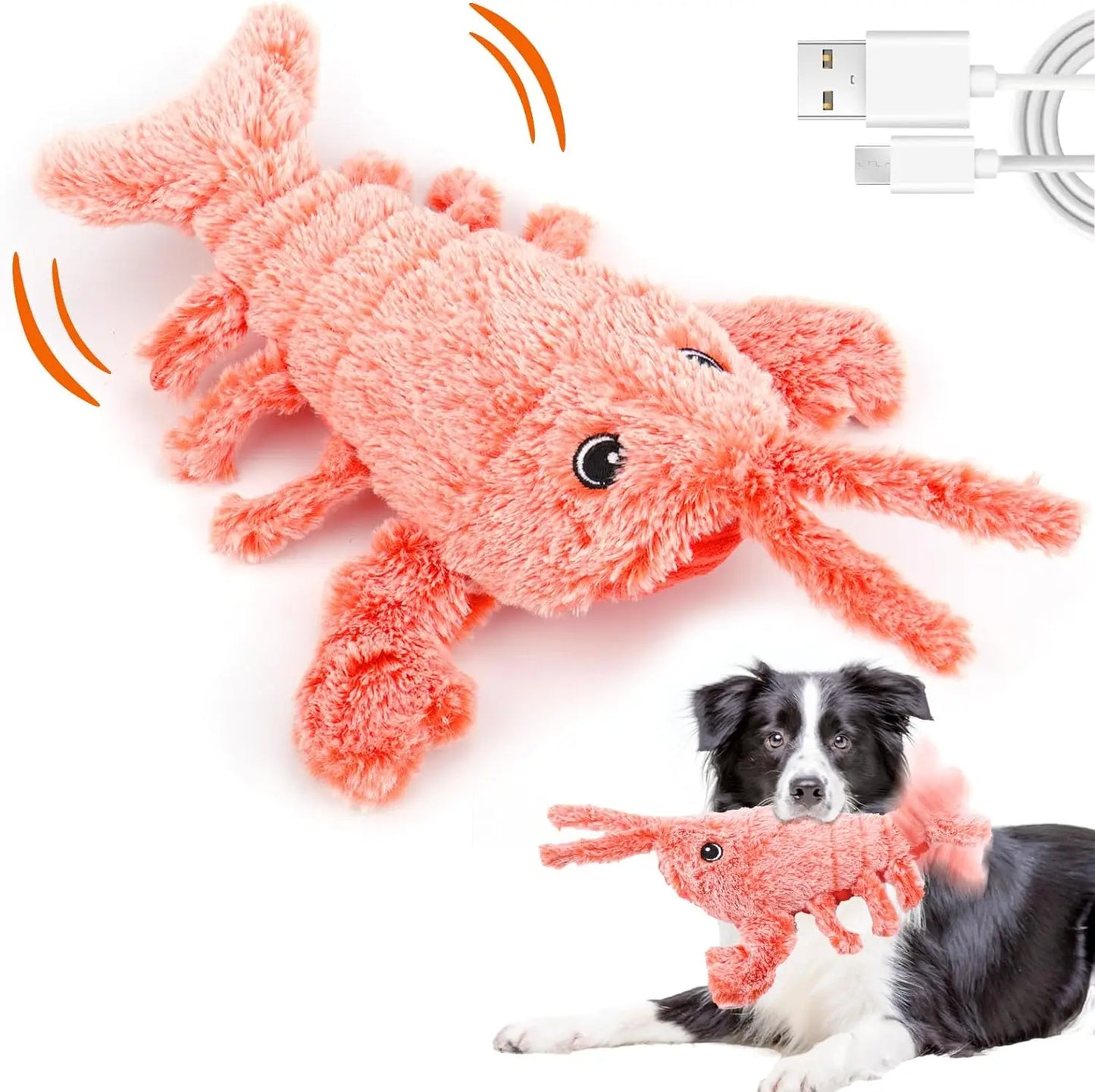 Jouet interactif pour chat en forme de homard doux rechargeable par USB avec couineur