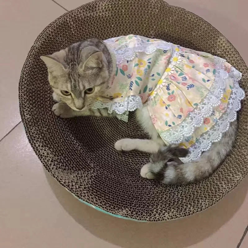 Lace Flower Princess Dress for Cats & Small Dogs