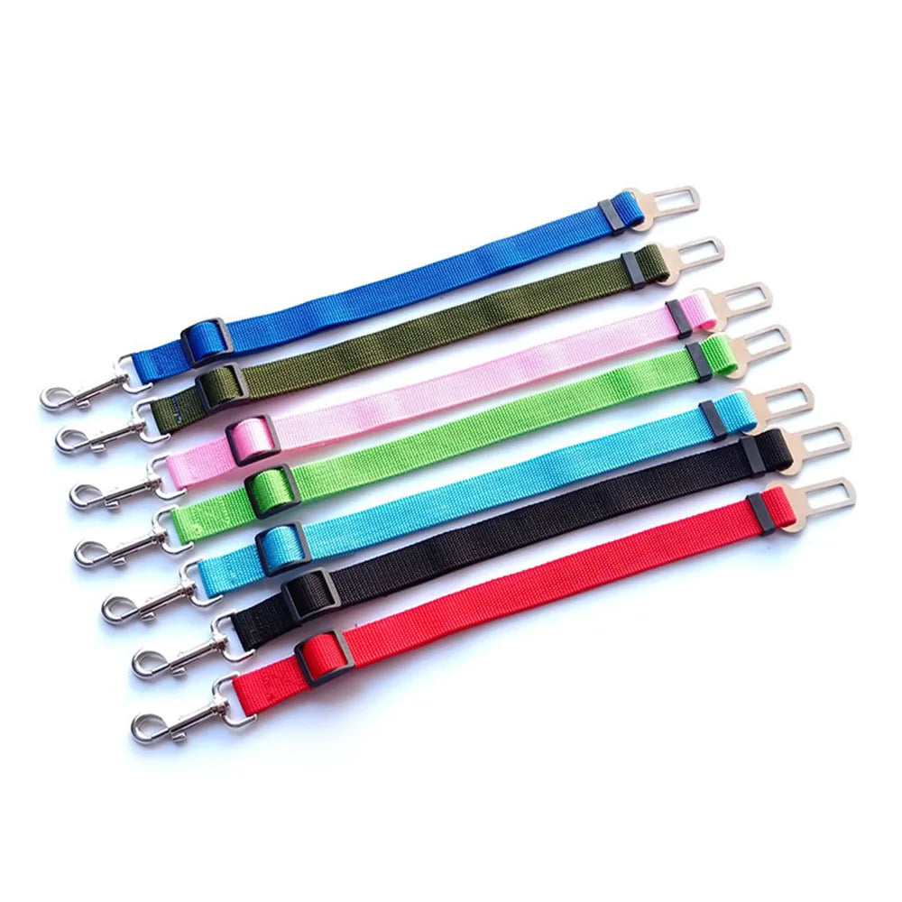 Ceinture de sécurité rétractable pour chien avec bande réfléchissante