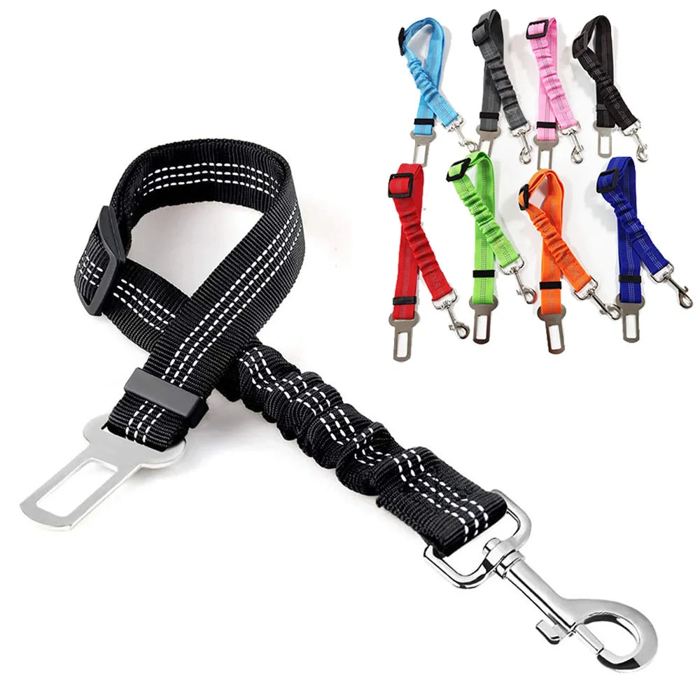 Ceinture de sécurité rétractable pour chien avec bande réfléchissante