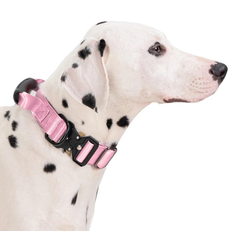 Heavy Duty Tactical Dog Collar with Handle — Metal Buckle Training Collar for Medium & Large Dogs