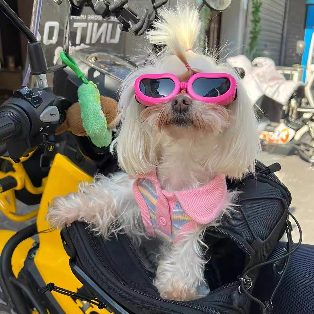 UV & Windproof Sunglasses Goggles for Small Dogs & Cats