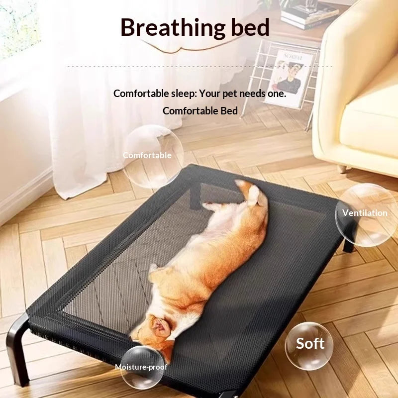 Elevated Mesh Dog Bed