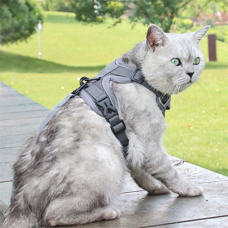 Reflective Mesh Cat & Dog Harness with Leash Set