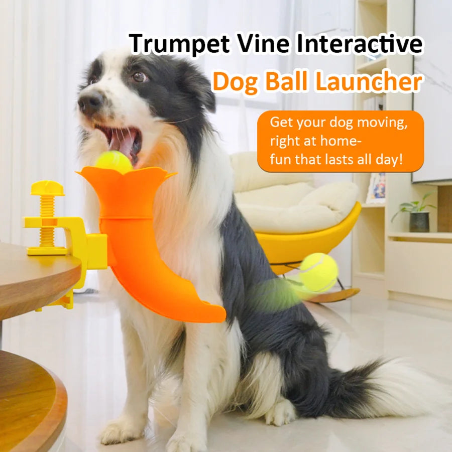 Table-Clip Dog Ball Return Toy