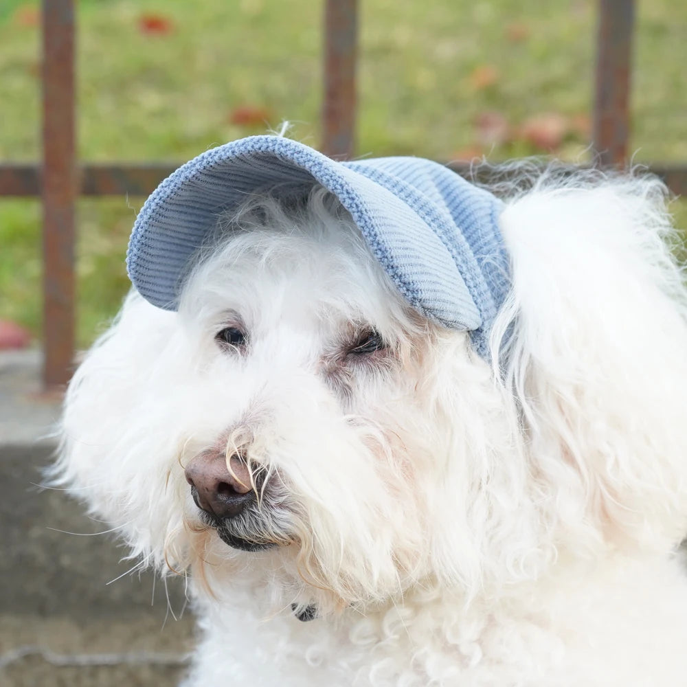 Fashionable Pet Dog Hat with Adjustable Sun Protection XS to XL Size for Small Medium Large Dogs Pet Outdoor Suppies Accessories