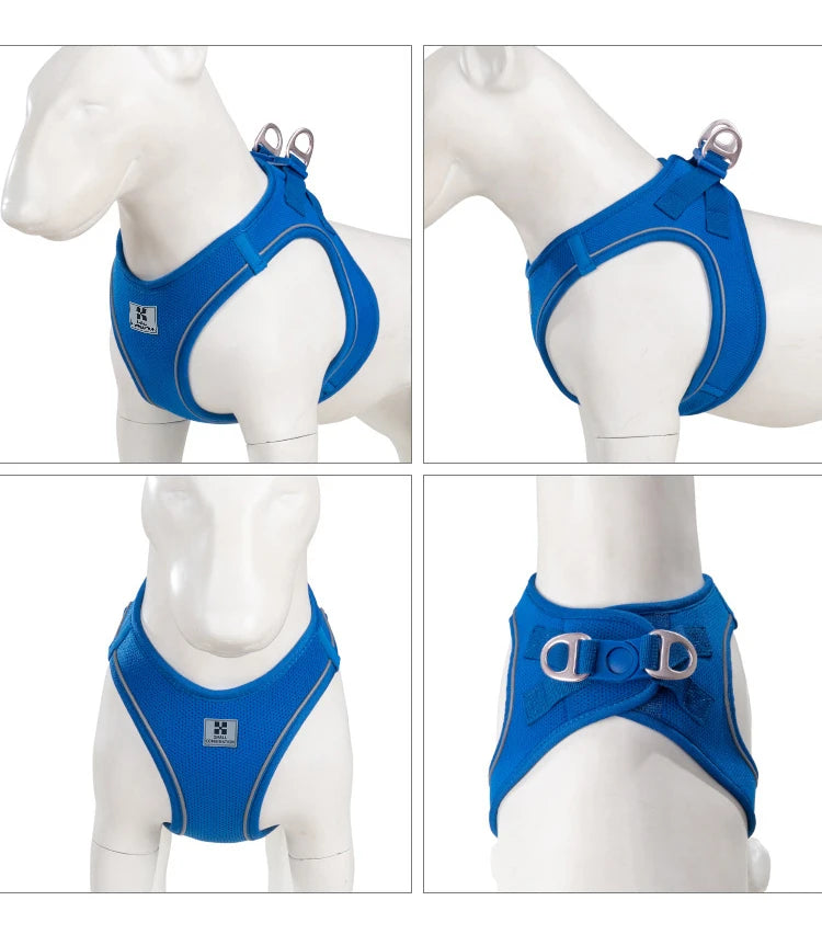 Reflective Dog & Cat Harness with Leash Set