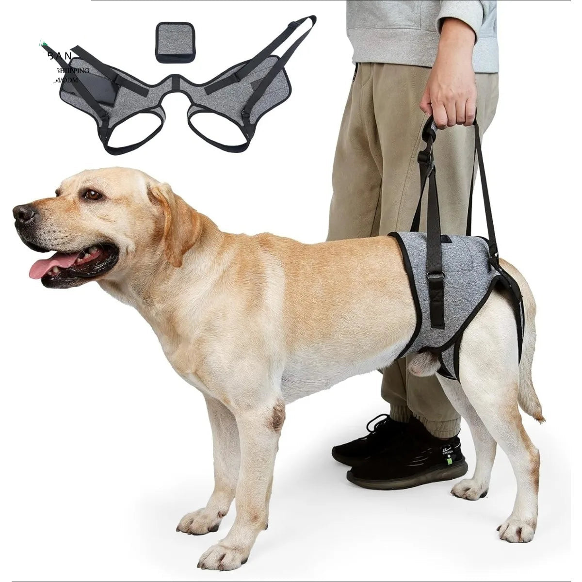 Rear Support Dog Lift Harness for Elderly, Injured & Arthritic Dogs