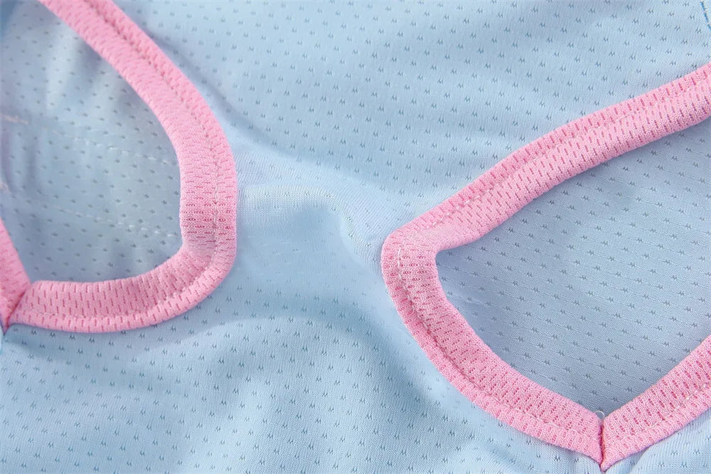 Breathable Mesh Cooling Vest with D-Ring for Small Dogs
