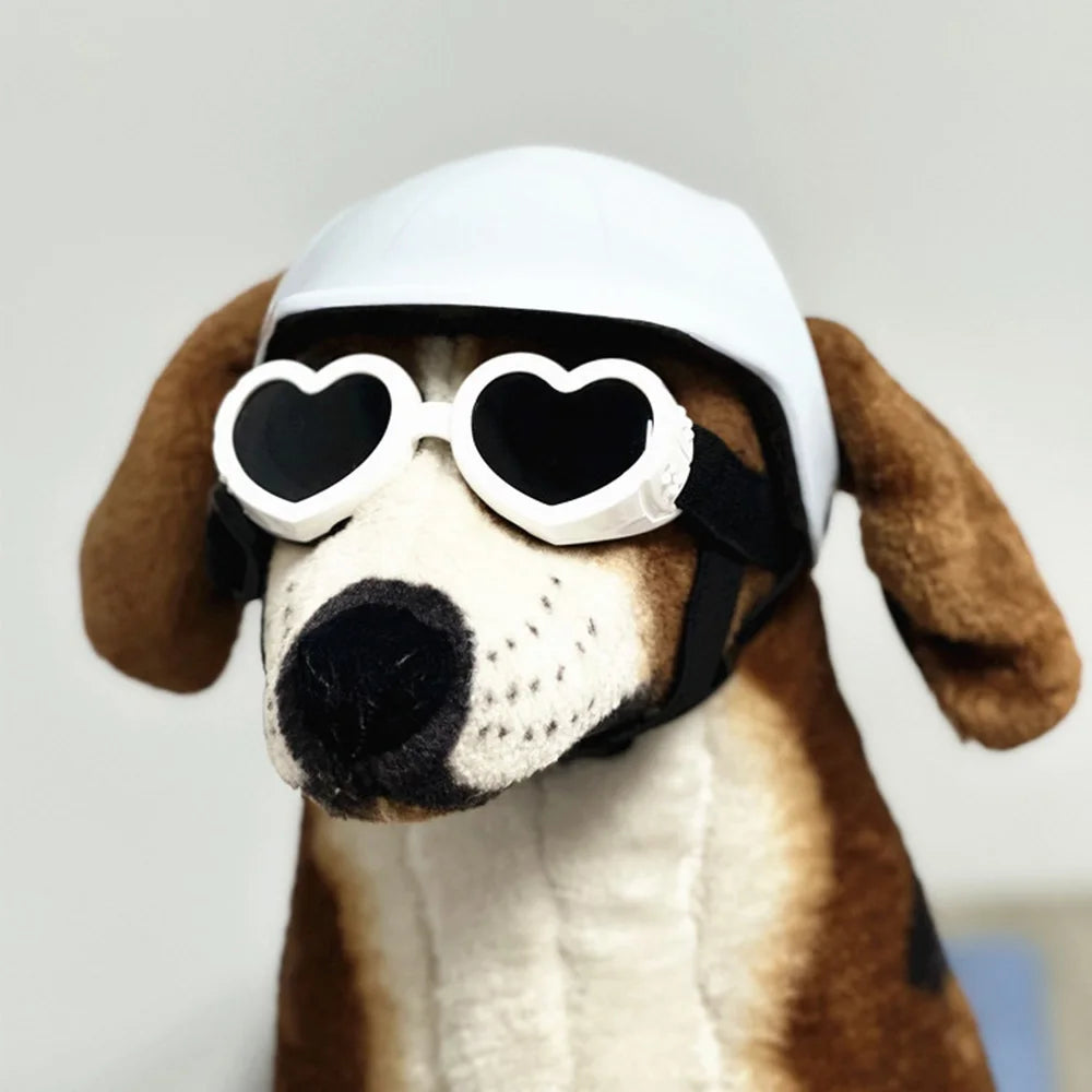 Motorcycle Helmet for Small Dogs with Ear Holes
