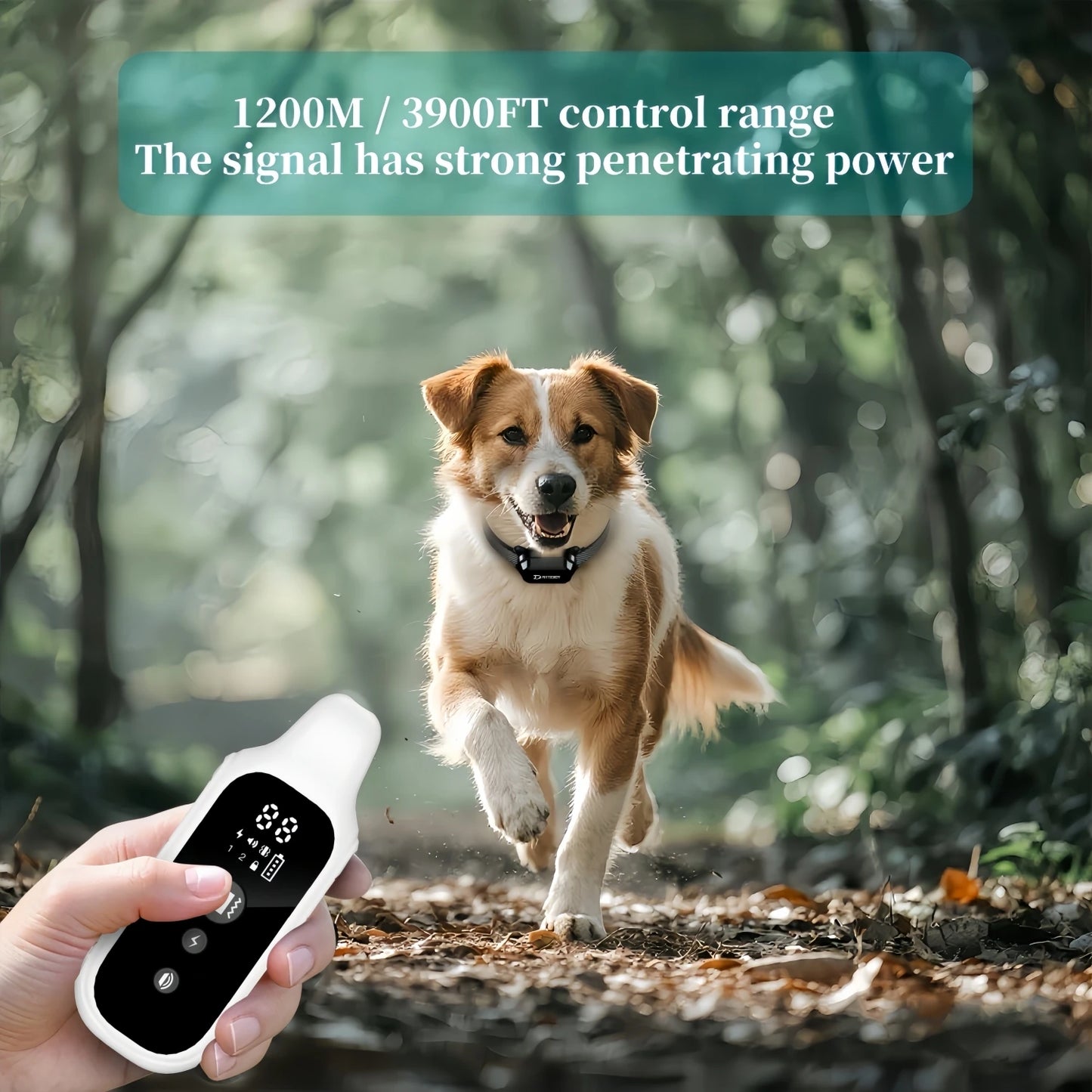 Digital Remote Dog Training Collar — 800m Range, LCD Display & Waterproof