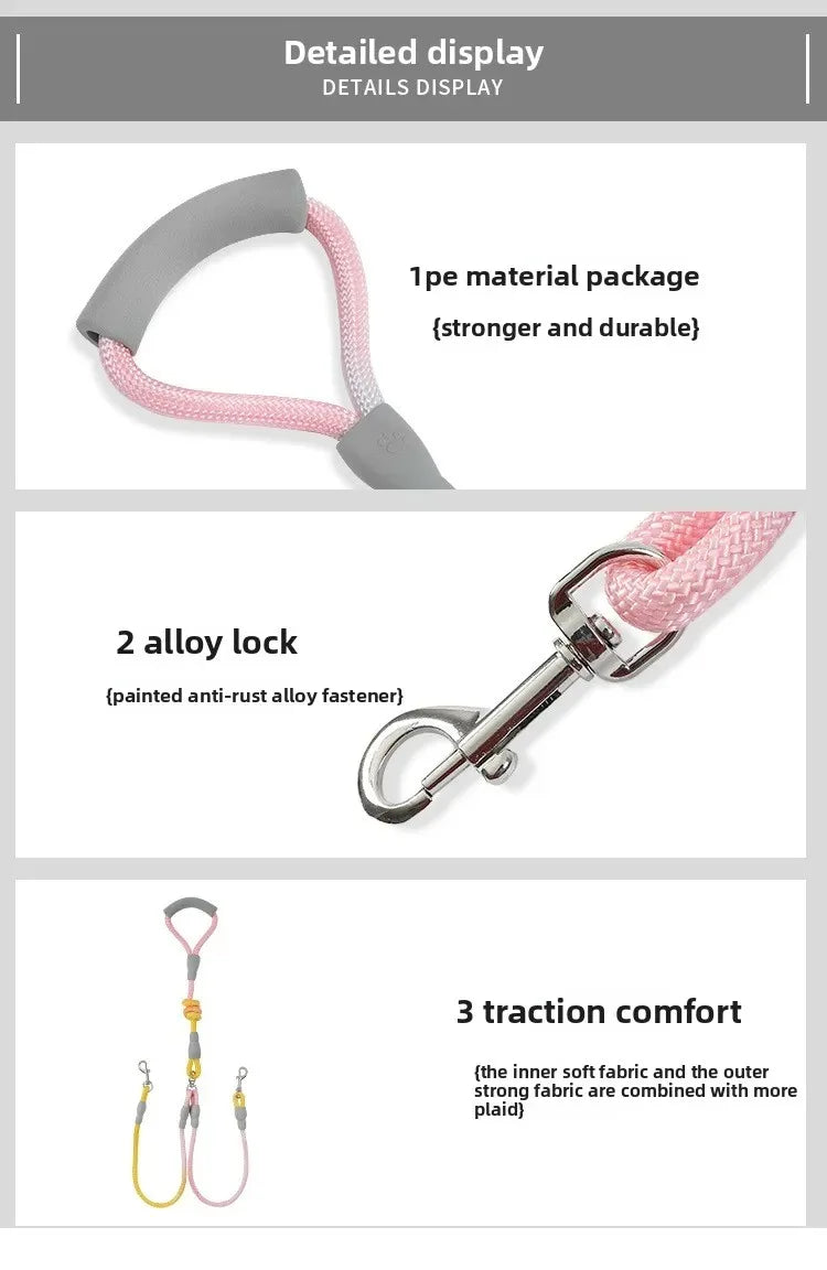Ensemble complet de collier, harnais et laisse pour chien de qualité supérieure
