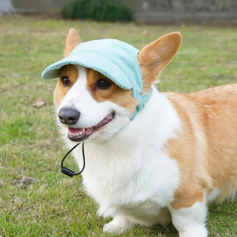 Pet Baseball Cap with Ear Holes | Adjustable Summer Sport Hat for Dogs & Cats