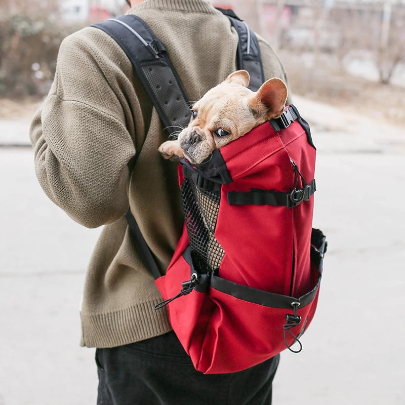 Breathable Dog Backpack Carrier for Small Dogs