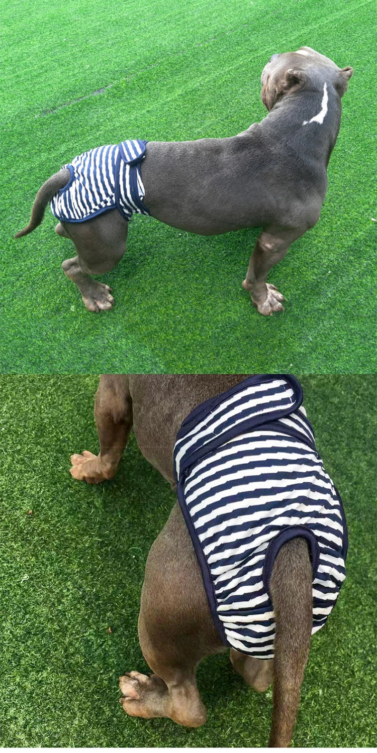 Washable Physiological Pants & Sanitary Briefs for Female Dogs & Cats